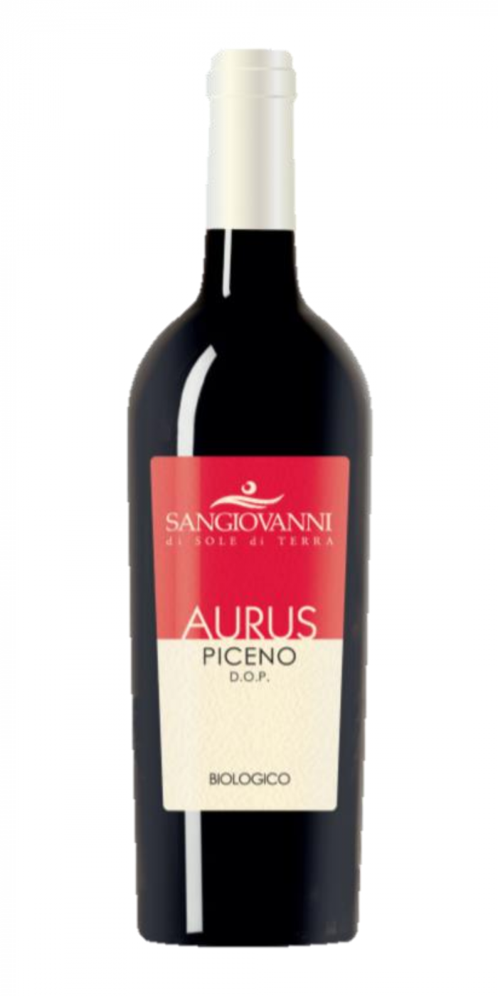 Aurus (2020 / 2021)