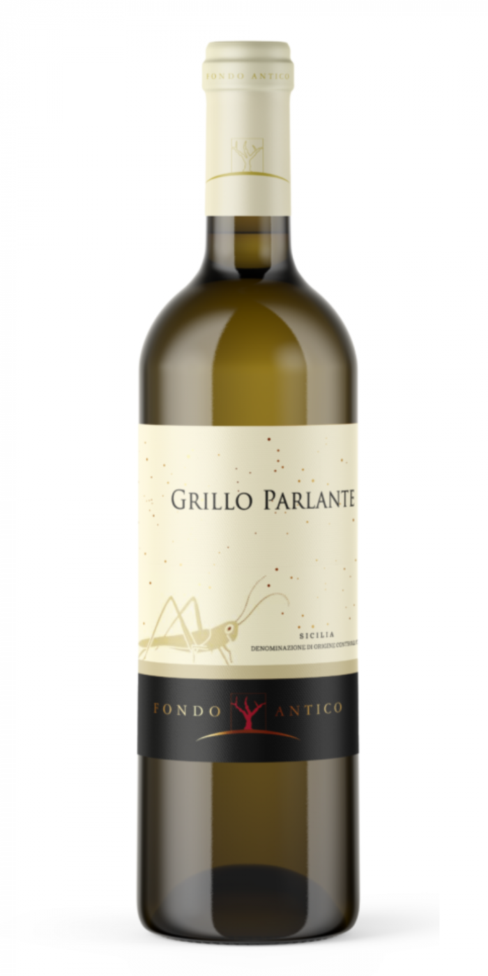 Grillo Parlante (2023 / 2024)