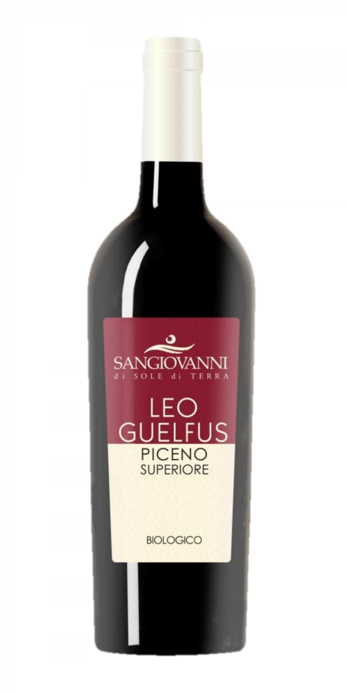 Leo Guelfus (2020)